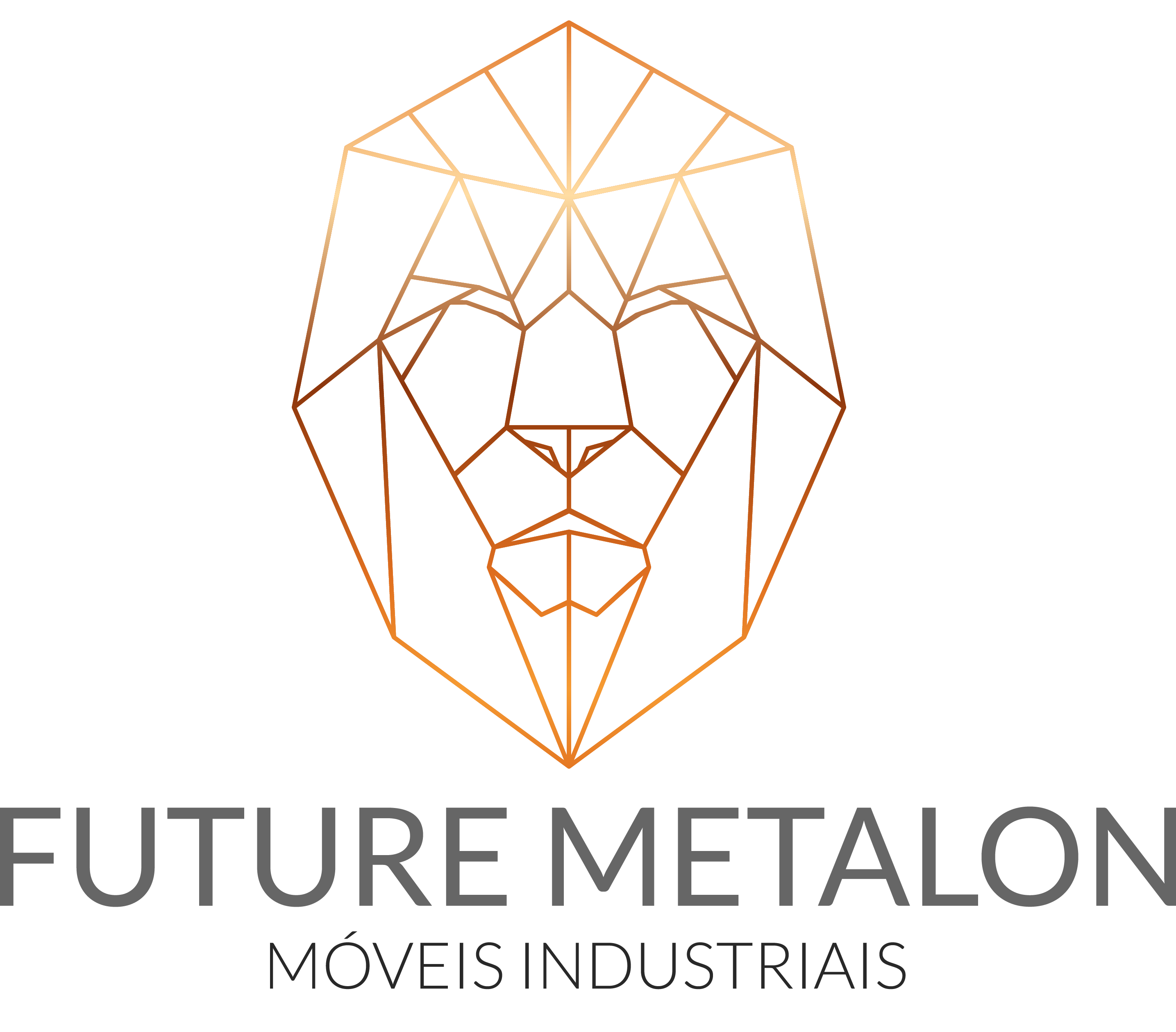 Future metalon_Prancheta 1